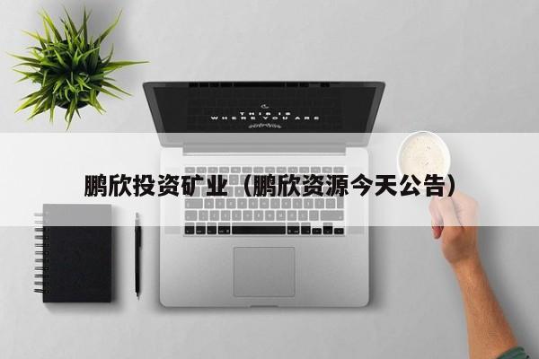 鹏欣投资矿业（鹏欣资源今天公告）