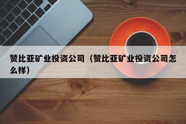 赞比亚矿业投资公司（赞比亚矿业投资公司怎么样）