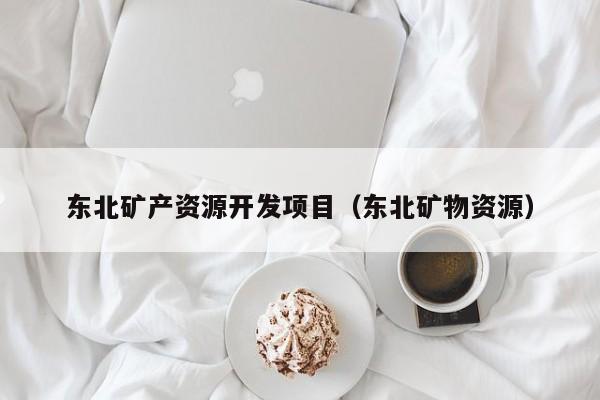 东北矿产资源开发项目（东北矿物资源）