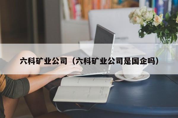 六科矿业公司（六科矿业公司是国企吗）