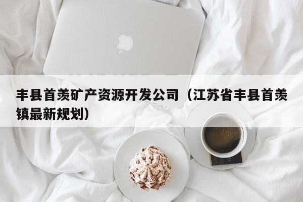 丰县首羡矿产资源开发公司（江苏省丰县首羡镇最新规划）