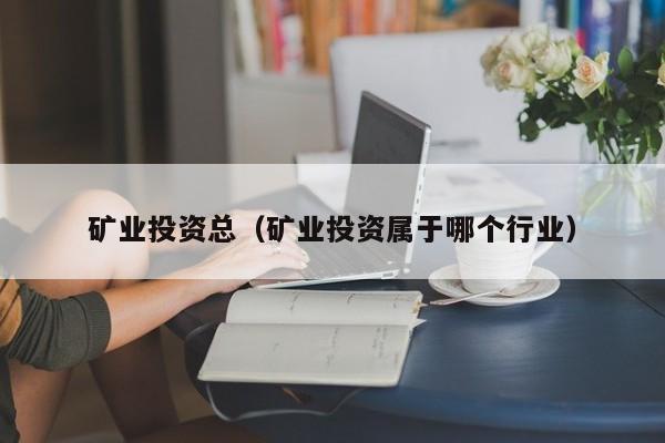 矿业投资总（矿业投资属于哪个行业）