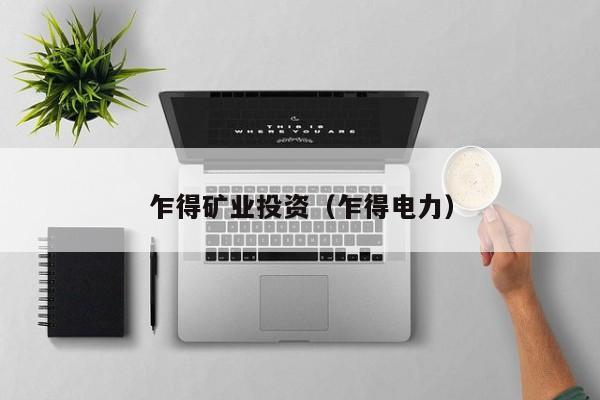 乍得矿业投资（乍得电力）