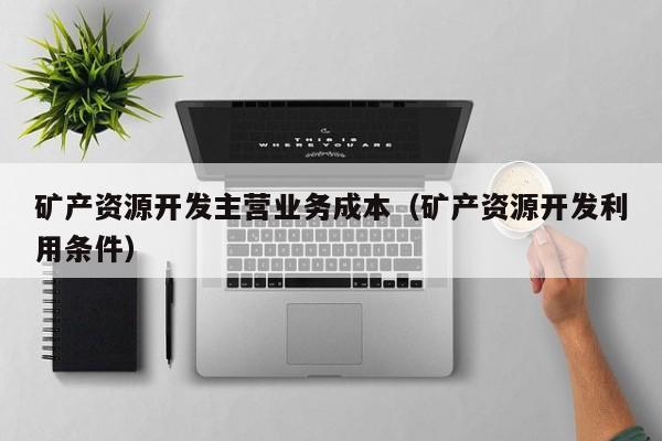 矿产资源开发主营业务成本（矿产资源开发利用条件）